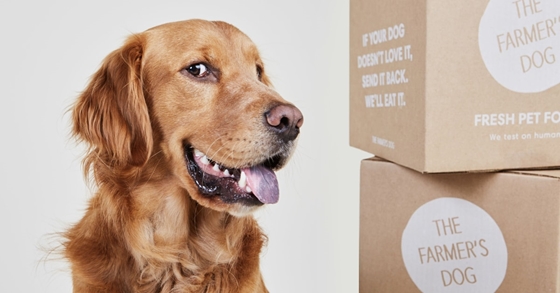 A The Farmer's Dog hirdetése. A doboz oldalán a szöveg: „Ha a kutyájának nem ízlik, küldje vissza. Majd mi megesszük.” 