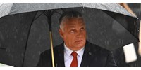  Mém lett Ukrajnában abból, hogy Orbán nem meri leírni, ki vonult be Magyarországra november negyedikén  