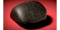  93 éve talátak egy marsi meteoritot, most oldódott meg a rejtélye  