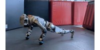  Lazán nyomja a fekvőtámaszokat a Boston Dynamics robotja, és ez nagyobb dolog, mint elsőre tűnik – videó  