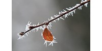 Hajnali fagyokra kell készülnünk november első napjaiban