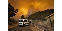  Az utóbbi 40 év legsúlyosabb erdőtüze pusztít Tenerifén  