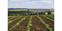  Átalakul az Agrárminisztérium, de Lázár nem viszi el a vidékfejlesztést  