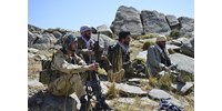  Megegyezett az USA a tálibokkal: humanitárius segítséget kap Afganisztán  