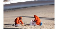 Kiderült, mik lehetnek a Sydney strandjain talált rejtélyes kátrányszerű golyók 