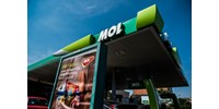  A lengyel benzinkutakat vásárló Mol az oroszok trójai falova lehet ? állítja a lengyel ellenzék  