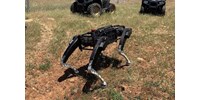  Az amerikai határőrségnél tesztelik a robotkutyát, amelynek fegyvert lehet szerelni a hátára  