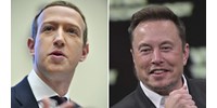  Perrel fenyegeti Elon Musk Mark Zukerberget a Meta új közösségi oldala miatt  