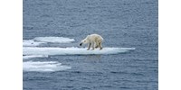  IPCC: Vészesen közeledünk a 3°C-os felmelegedés felé, de még időben vagyunk, hogy változtassunk  