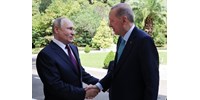  Megérkezett Erdogan Szocsiba, hogy Putyinnal tárgyaljon a gabonaegyezmény újraindításáról  