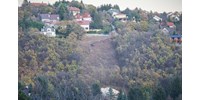 Letaroltak egy erdősávot a II. kerületben, feljelentést tesz az önkormányzat