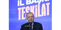 Felfüggesztett börtönt kapott egy svéd újságíró Törökországban Erdogan megsértése miatt  