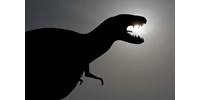  Új dinoszauruszfajt fedeztek fel Argentínában  