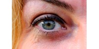  Emberi retinát növesztettek laboratóriumban, rögtön ki is derült több dolog, amiről eddig nem lehetett tudni  