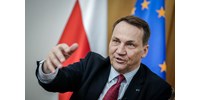  Beszólt a lengyel külügyminiszter Elon Musknak  