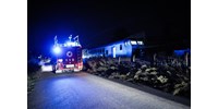 Halálra gázolt a vonat egy embert a fővárosban  