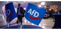  Kizárja a német AfD-t a szélsőjobboldali Identitás és Demokrácia EP-frakció  