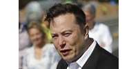  Rápirítottak Elon Muskra Brazíliában, nem kapcsolgathatja csak úgy vissza a letiltott X-fiókokat  