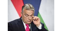  Friedman önkritikát gyakorolt: Tévedtem Orbánnal kapcsolatban  
