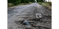  A donyecki szakadár vezető szerint Ukrajna egészét el kell foglalni  