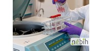 Valamennyi növényi fehérjepor megbukott a Nébih vizsgáján