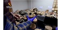  Koponyát és több száz csontot talált egy férfinél a rendőrség, illegális őskori magángyűjtemény volt  