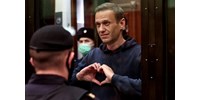 Kaphatok egy kengurut? – Navalnij módszeresen trollkodik a börtön vezetőségével