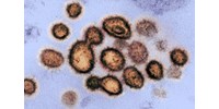  A vírusellenes szerek használata gyorsíthatja a Covid evolúcióját a tudósok szerint  