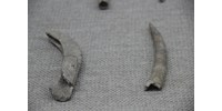  99-104 ezer éves eszközt találtak Kínában  