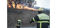  Több száz hektár égett le, tűzoltók százai próbálják megfékezni a franciaországi erdőtüzet  