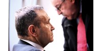  Gyárfás Tamás: Az ágyi poloskákhoz jobb, ha már most hozzászokom  