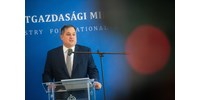  „Aki a hibás, az fog fizetni” - Nagy Márton azt javasolja Orbán Viktornak, avatkozzon bele az üzemanyagárakba  