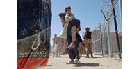  Csaknem 13 ezer afgán kért uniós menedékkérelmet novemberben  