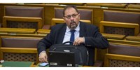 Pócs János szerint Magyar Péter „csak egy idióta”