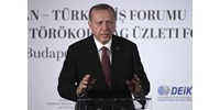  Tíz nagykövetet küldene haza a török elnök, amiért egy emberi jogi aktivista szabadon engedését kérték  