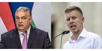  Iránytű Intézet: Magasan Magyar Péter pártja a legnépszerűbb az ellenzéki oldalon, de a Fideszhez képest jelentős a lemaradása  