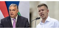  Orbán és Magyar agresszív vagy megbízható? Hallott-e a Vogel Evelin-interjúról? - erről kérdezi az embereket egy közvélemény-kutató  