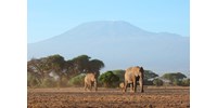  Szélessávú internetet telepítettek a Kilimandzsáróra, hogy könnyebb legyen feltölteni a képeket az Instagramra  