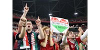 Péntektől lehet bérletet venni a fociválogatott őszi tétmeccseire