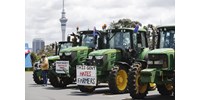  Gazdák ezrei tüntettek a böfögés- és szellentésadó ellen Új-Zélandon  