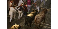 Meghalt egy férfi a spanyol bikafuttatáson