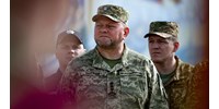  Guardian: Zelenszkij szólította fel lemondásra Zaluzsnij vezérkari főnököt, aki ezt megtagadta  