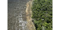  Aláírták az erdőirtás elleni egyezményt, mégis egyre több fát pusztítanak el Brazíliában  