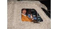 Már csak tíz évet kell aludnunk és elkészülhet a Dumb és Dumber 3.