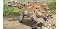  Pengés farka, kutya mérete volt a dinoszaurusznak, amit most fedeztek fel  