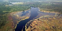  „Megdöbbentünk a folyó színén” – olyan sötét a kongói Ruki, hogy a dzsungel teájaként írták le a kutatók  