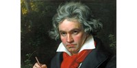  Beethoven koponyájának darabjait adományozták a Bécsi Orvosi Egyetemnek  