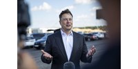  „A pokolba vele” – meggondolta magát Elon Musk, és továbbra is fizeti Ukrajnának a Starlink-netet  