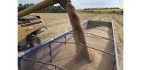  Uniós biztos: a gabonabehozatali tilalom meghosszabbítására lenne szükség Ukrajna uniós szomszédjai számára  