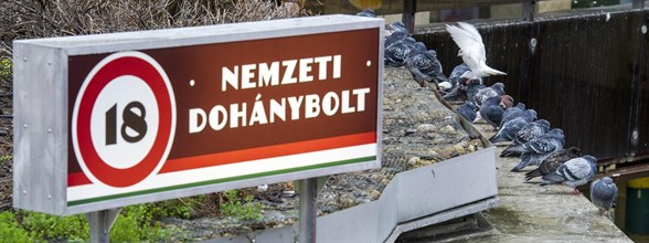 dohánybolt, cigaretta, dohányáru, vasárnapi munkavégzés, vasárnapi munka